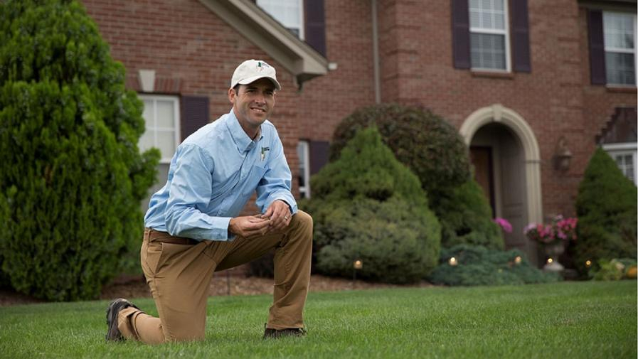 Cover photo of Lawn Doctor of the North Shore